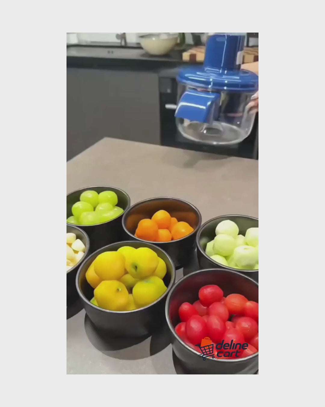 Fruit and Vegetable Peeler